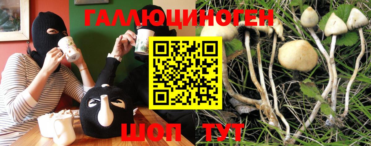 Заречный  Псилоцибиновые грибы мицелий  Псилоцибиновые грибы GOLDEN TEACHER  купить закладку  Вход с VPN 